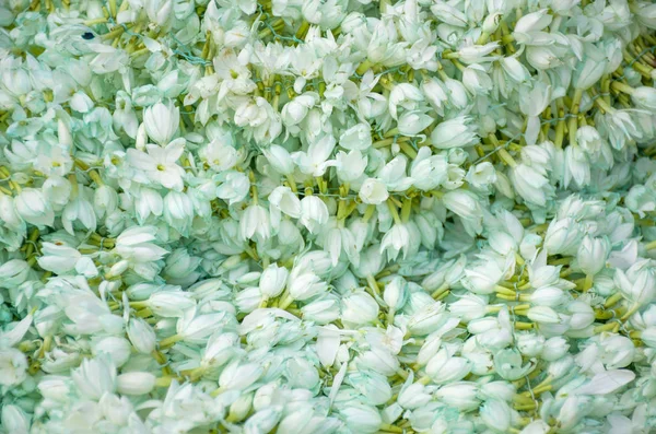 Çiçek ve yaprakların doğal arkaplanı