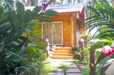 Hindistan 'da tatil için tropik manzara ağacı evi. 