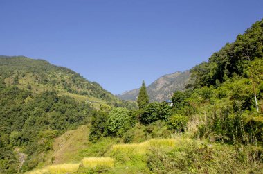 Nepal 'deki Himalayalar Dağı' nın manzarası