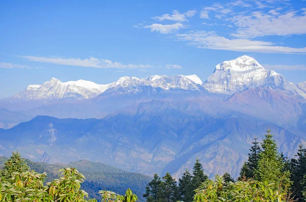 Jungle Landschap Himalaya Nepal Prachtige Bergen Midden Blauwe Lucht — Stockfoto