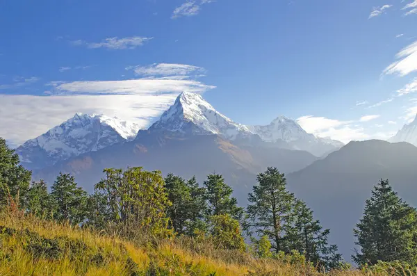 Jungle Landschap Himalaya Nepal Prachtige Bergen Midden Blauwe Lucht — Stockfoto