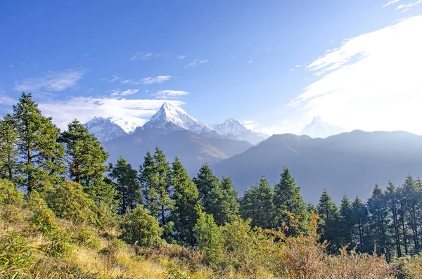 Jungle Landschap Himalaya Nepal Prachtige Bergen Midden Blauwe Lucht — Stockfoto