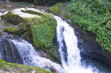 Taşların arasında akan küçük şelale manzarası
