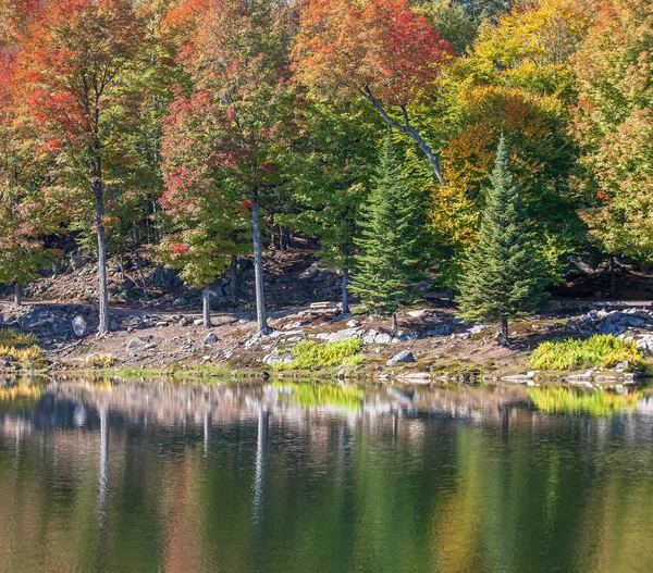 秋天在加拿大魁北克省 — 图库照片