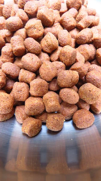 Scrumptious Dog Food — Stock Photo, Image