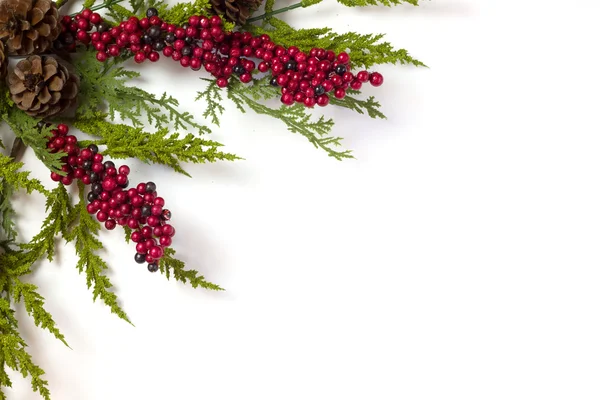 Kerst slinger met dennenappels en bessen geïsoleerd op wit — Stockfoto