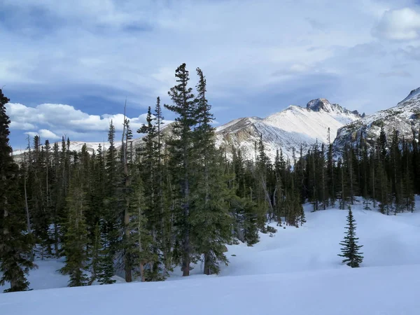 Scène hivernale ou printanière de Longs Peak à Rocky Mountain National — Photo