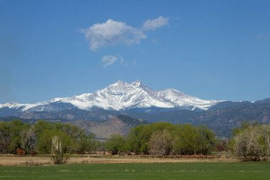 Snow capped Longs Peak and Mt Meeker on a spring or summer day clipart