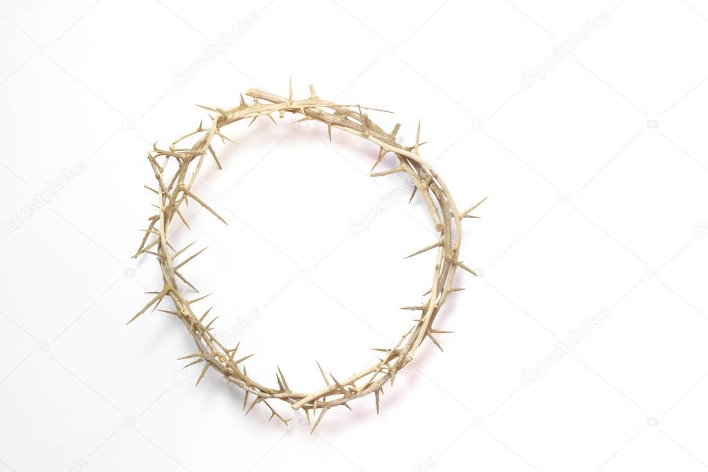 Easter Crown of Thorns isolated on a white background 