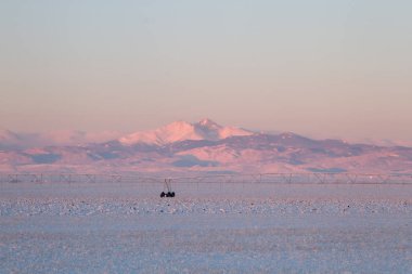 Kar maskeli uzun mamul Peak sonra bir kış fırtına, gündoğumu