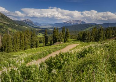 Toprak Summerti Colorado Dağların üzerinden dolambaçlı yol