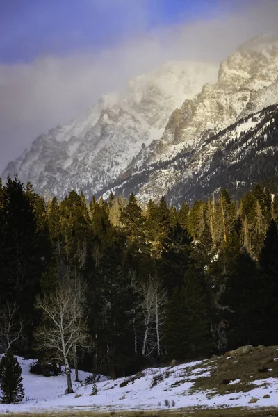 The View of the Mountains from Horseshoe Park in Rocky Mountain — 스톡 사진