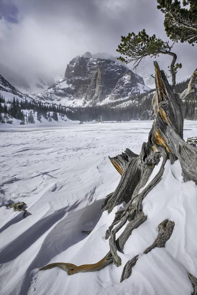 Cena Inverno Lago Vale Parque Nacional Montanha Rochosa — Fotografia de Stock