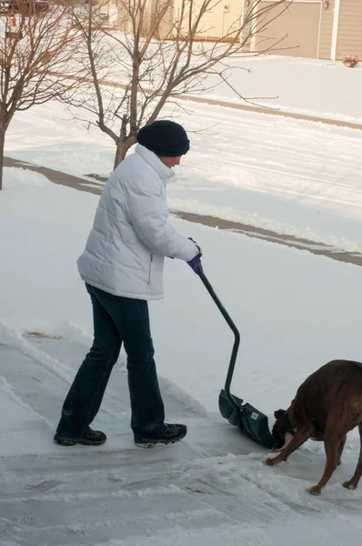 Mujer paleando nieve con perro de familia —  Fotos de Stock