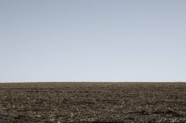 Nadas Mısır Dikim önümüzdeki yıl için hazır.