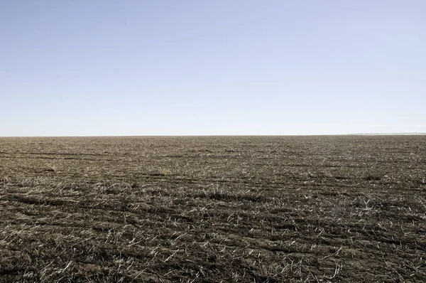 Campo superficial listo para plantar un nuevo cultivo . —  Fotos de Stock