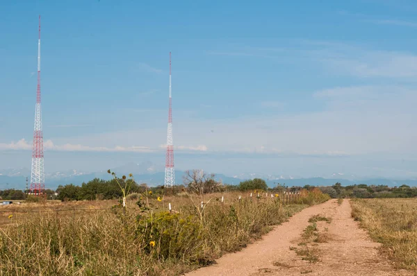 Strada sterrata fiancheggiata da erbacce e girasoli selvatici . — Foto Stock