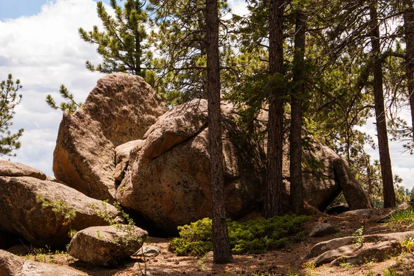 Grandi rocce tra i pini . — Foto Stock