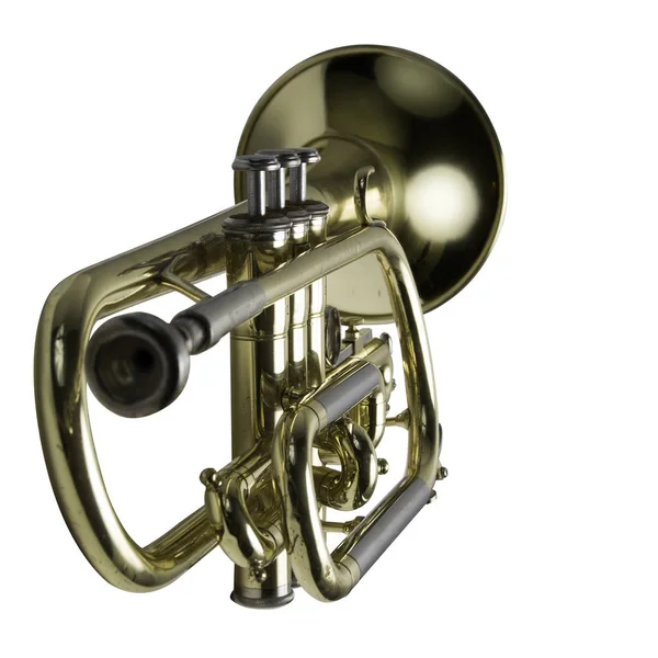 Bir trompet ile odak üstünde belgili tanımlık anahtar taşı — Stok fotoğraf