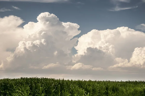 Grandes nuvens cumulativas enchem o céu azul no Colorado . — Fotografia de Stock