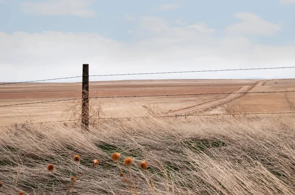 A gravel road on the open grasslands of the plains. — Stock Photo, Image