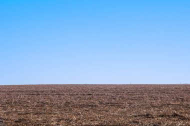 Carnfield sakalla dolu, bahar ekimini bekliyor.