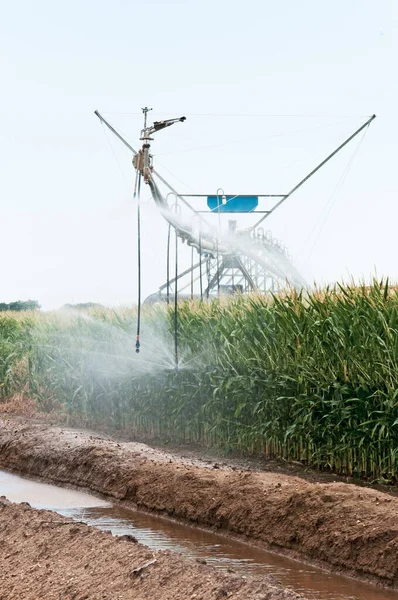 Mittelschwenkbewässerung eines Maisfeldes in ländlicher Farbgebung — Stockfoto