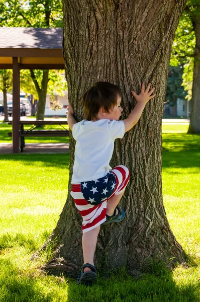 Mignon petit enfant d'âge préscolaire dimensionner un arbre dans le parc pour grimper — Photo