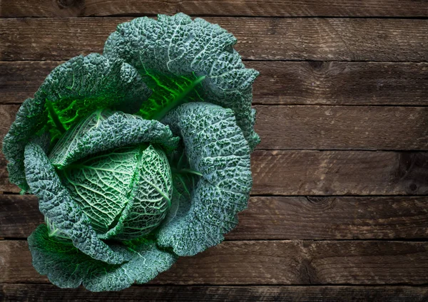 Fresh savoy cabbage — Stock Photo, Image