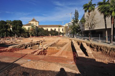 VALENCIA, İspanya - 20 Ocak 2010: Eski Valencia hastanesinin bahçelerinde arkeolojik kazılar