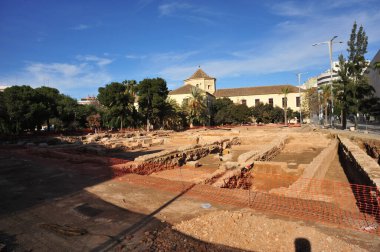 VALENCIA, İspanya - 20 Ocak 2010: Eski Valencia hastanesinin bahçelerinde arkeolojik kazılar