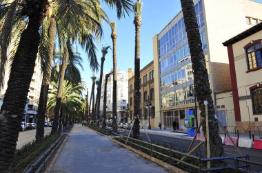 VALENCIA, İspanya - 2 Şubat 2011: Bahçecilik ve palmiye ağaçları nakli sırasında Avenida del Reino de Valencia