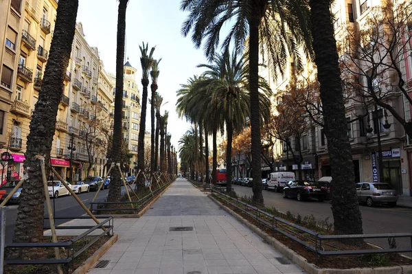 Valencia Spanien Februar 2011 Avenida Del Reino Valencia Beim Gärtnern — Stockfoto