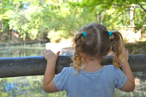 Niña Pequeña Espalda Con Las Manos Cerca Madera Mirando Hacia — Foto de Stock