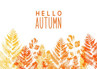 Kenarlık rengi değiştirmez