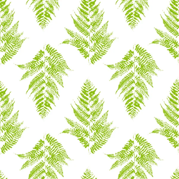 Seamless pattern with fern leaves — Stock Vector