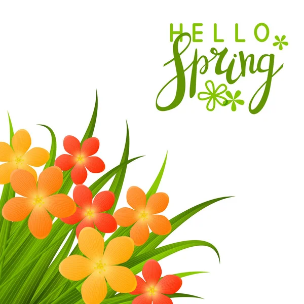 春の背景にオレンジ色の花 — ストックベクタ
