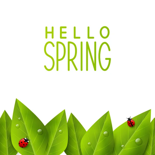 Green leaves and ladybugs — Stock Vector