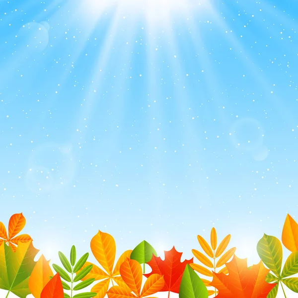 Autumn background with color leaves — Stockvector