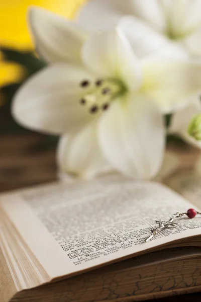 Bible, sacrament of communion background — Stock Photo, Image