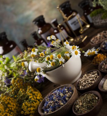 Taze tıbbi, şifalı otlar 