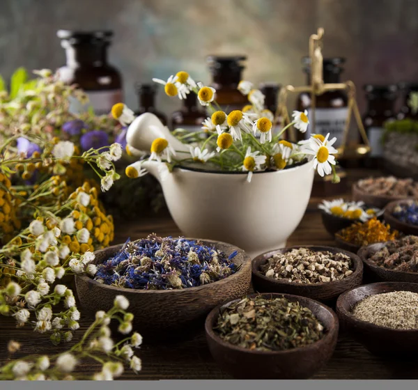 Orvosságos-üvegek és fűszernövények — Stock Fotó