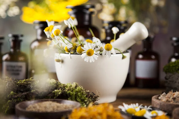 Assorted natural medical herbs and mortar — Stock Photo, Image