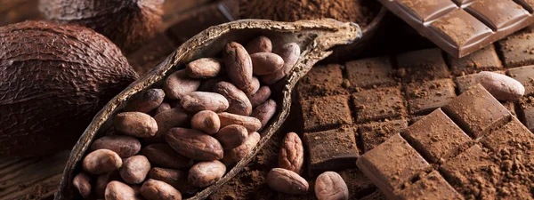 Barras de chocolate con granos de cacao — Foto de Stock