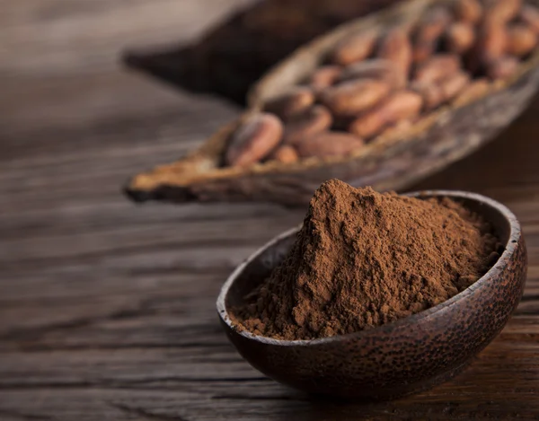 Frijoles de cacao en la vaina de cacao seco — Foto de Stock