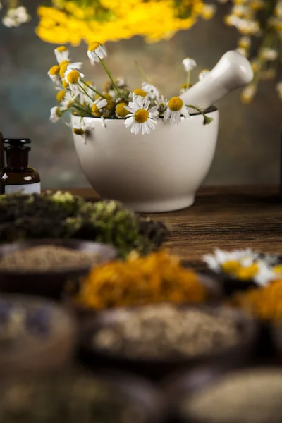 Herbs, berries and flowers with mortar — Stock Photo, Image