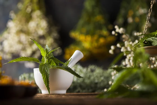 Medical herbs, natural remedy and mortar — Stock Photo, Image