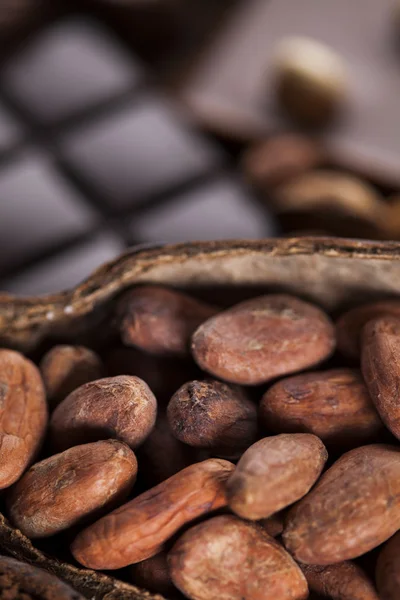 Aromatic cocoa, powder and Dark chocolate — Stock Photo, Image