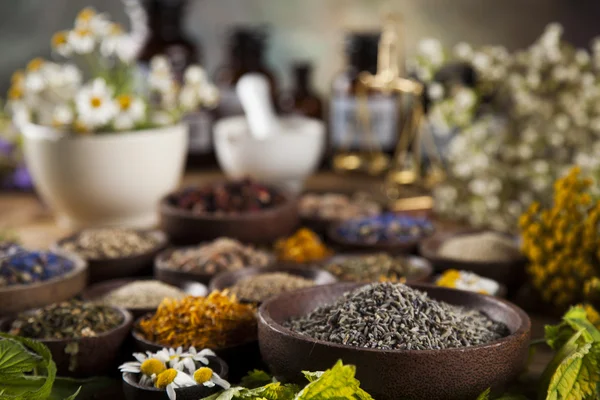 Herbs and mortar on wooden table — Stock Photo, Image