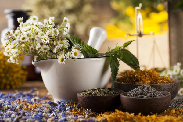 Mortar, Alternative medicine and Natural remedy — Stock Photo, Image